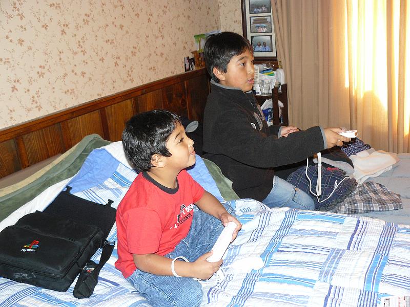 P1010073.JPG - Laura's boys playing a  Wii