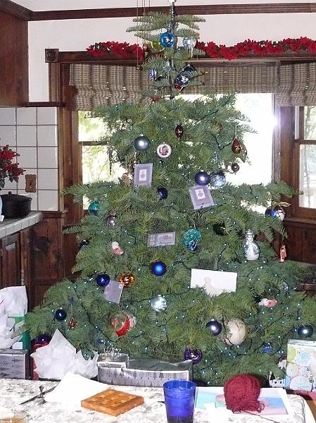 P1010092.JPG - The Webb Rd tree