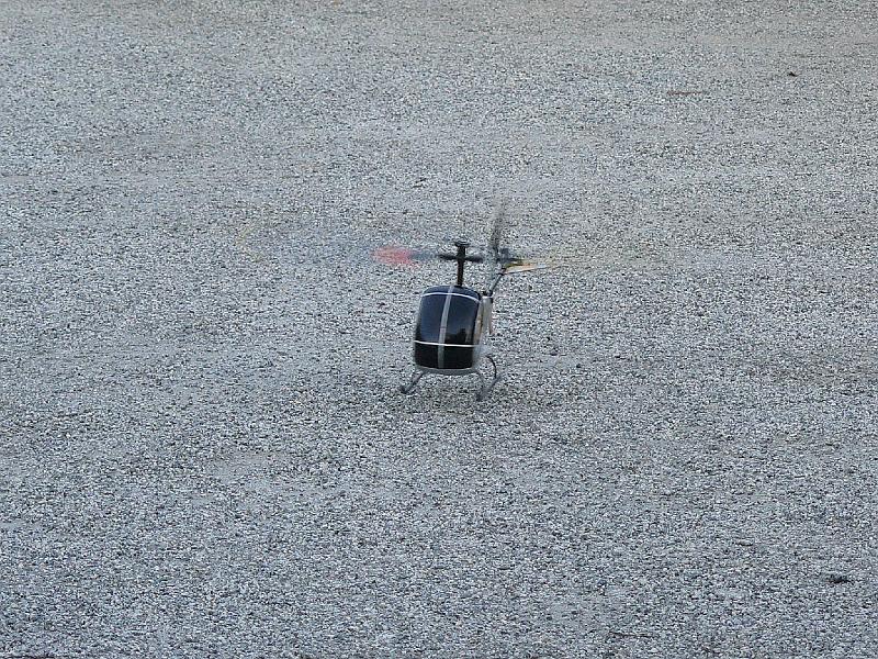 P1010108.JPG - a Christmas toy..