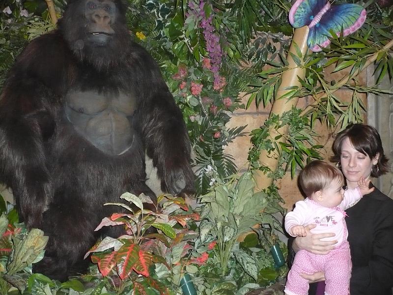 P1020342.JPG - We had dinner at the Rainforest Cafe.