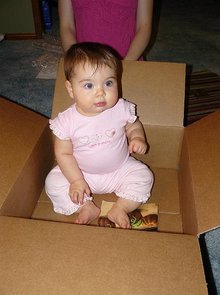 P1020523.JPG - The best gift.. an empty box.