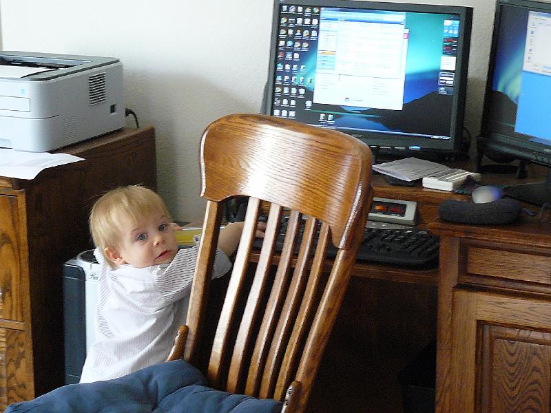 P1020972.JPG - Christmas afternoon...