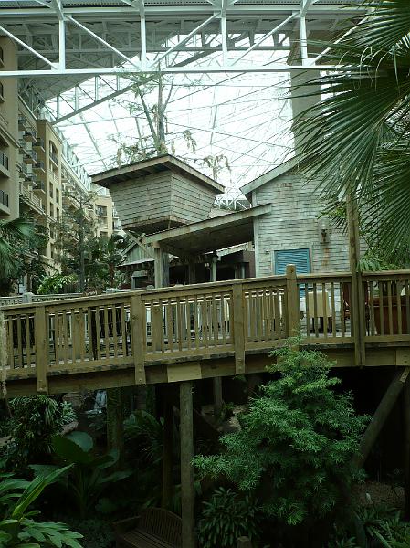 P1010287.JPG - Views around the atrium.