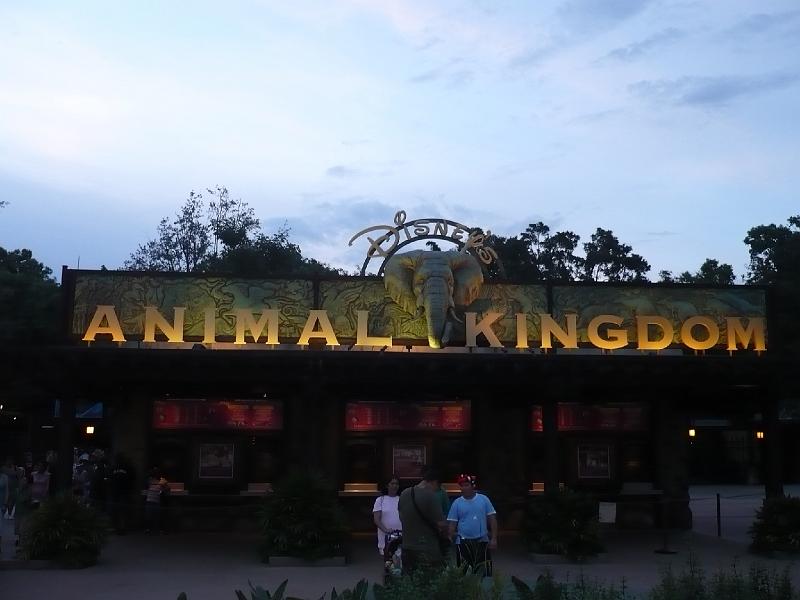 P1010312.JPG - Animal Kingdom- things to see and do!