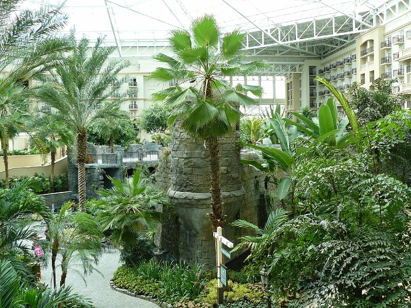 P1020102.JPG - Views from our room at Gaylord Palms.