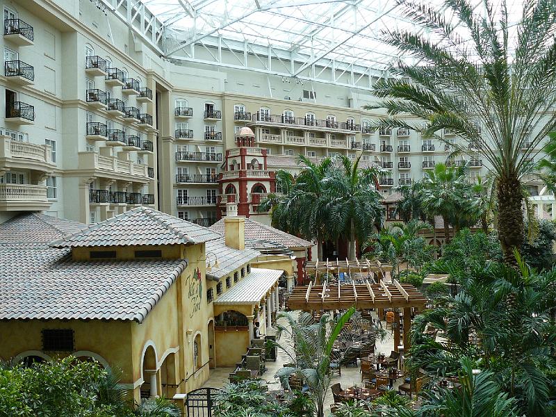 P1020104.JPG - Views from our room at Gaylord Palms.