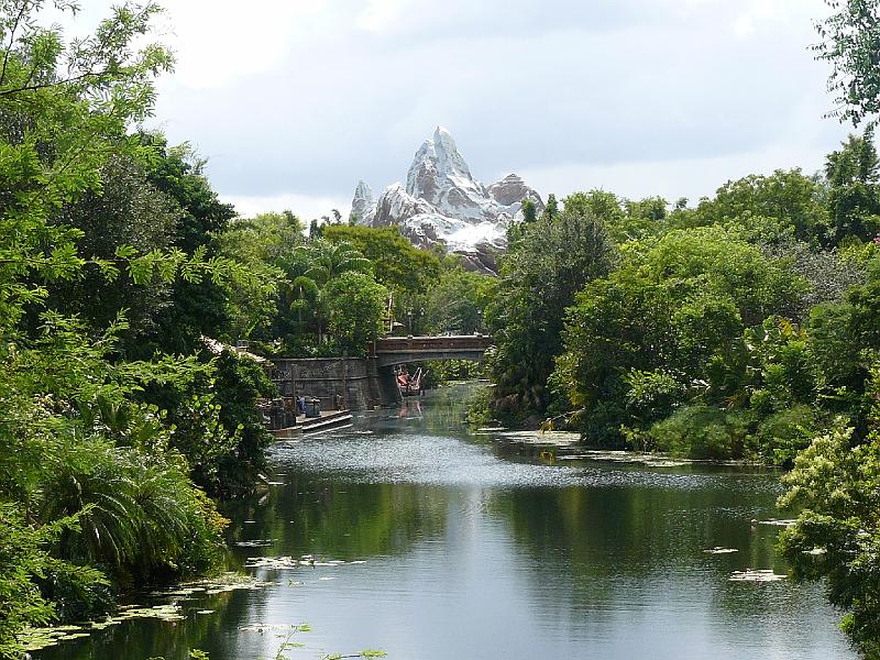 P1020118.JPG - Animal Kingdom- things to see and do!