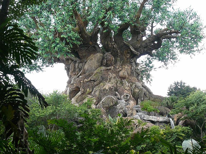 P1020119.JPG - Animal Kingdom- things to see and do!