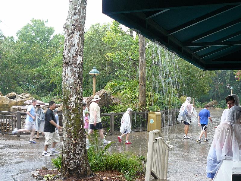 P1020130.JPG - Animal Kingdom- it rained and rained this afternoon.