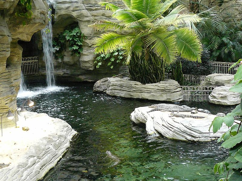 P1020186.JPG - Views around the atrium- alligator / turtle pond