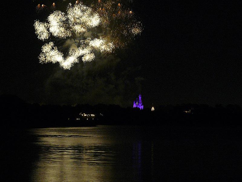 P1020289.JPG - Magic Kingdom fireworks viewed from the beach at Polynesian Resort