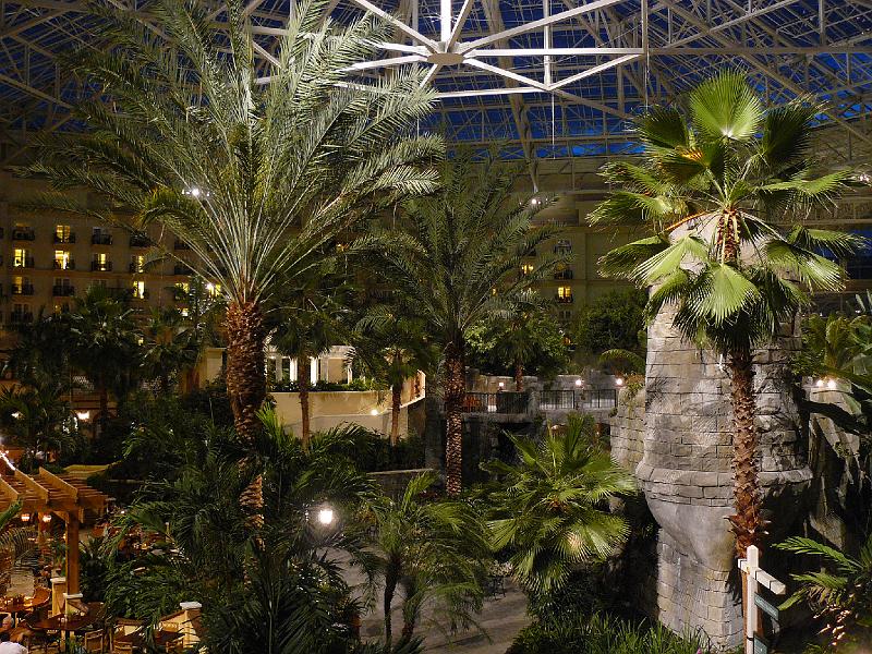 P1020292.JPG - Night view from our room at Gaylord Palms.