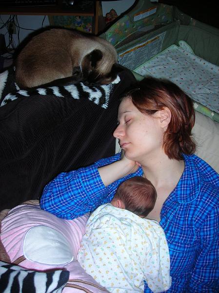 Feb132.JPG - What a tiring day it must have been, for baby, mother and Sven