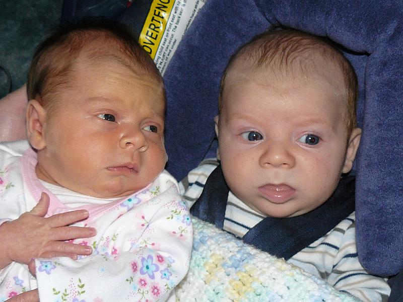 P1010382.JPG - They don't seem much interested in getting to know one another