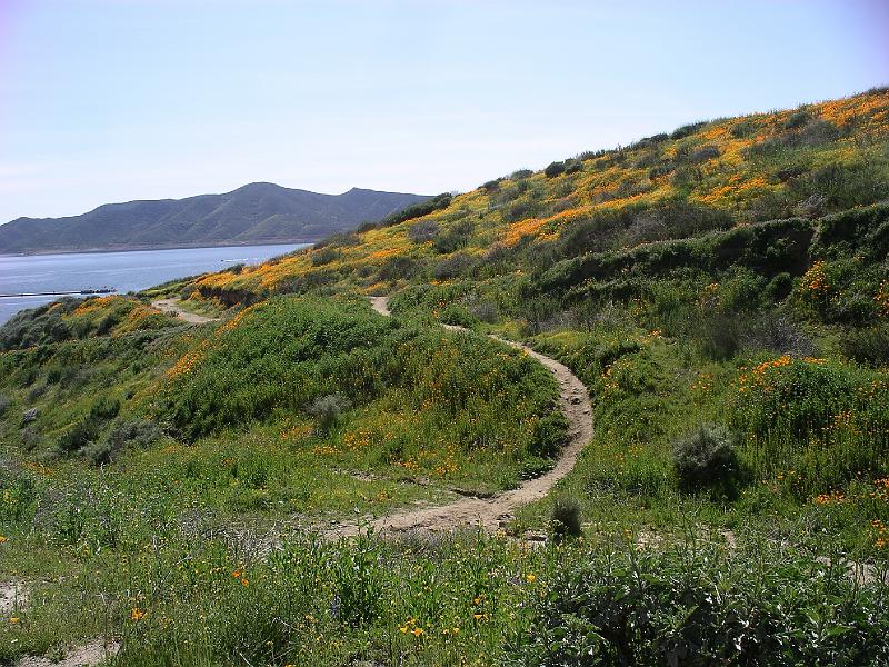 IMGP4727.JPG - Bike riding around Diamond Valley Lake