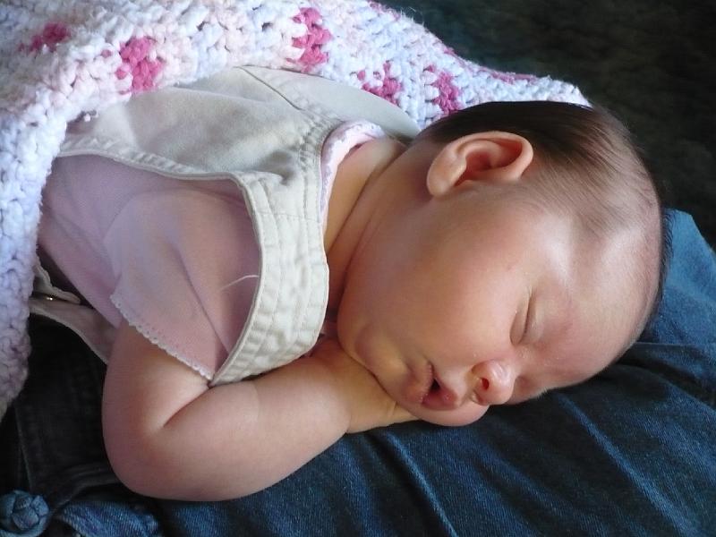 P1000483.JPG - naptime