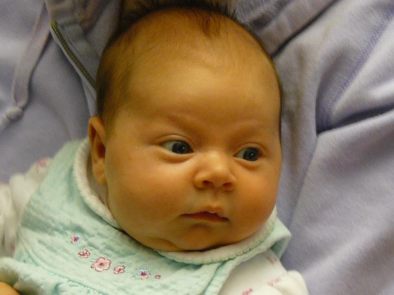 P1010540.JPG - Hailee Rose