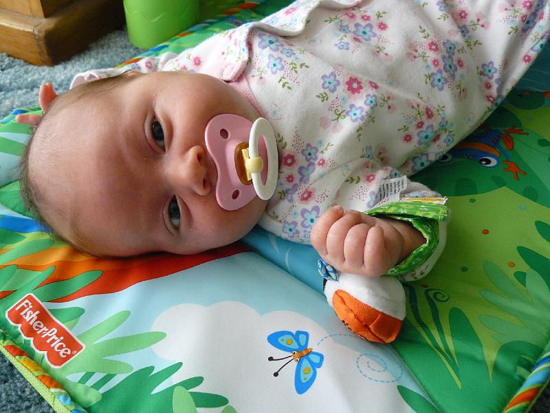 P1010567.JPG - and a wrist rattle