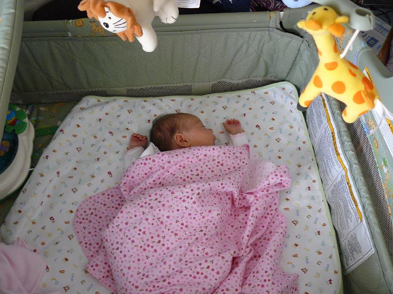 P1010573.JPG - it's nap time!