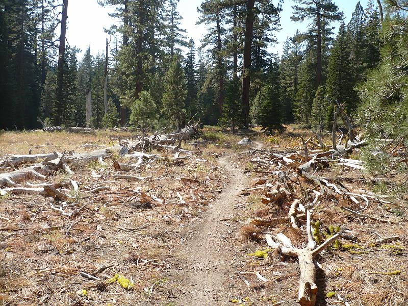 P1010770.JPG - More trail views.