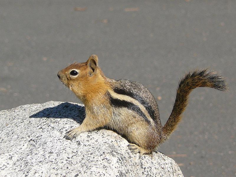 P1020332.JPG - cool shot eh?