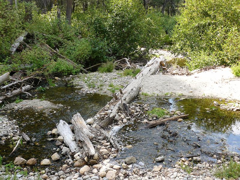 P1020403.JPG - views around the park...