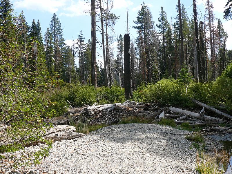 P1020404.JPG - views around the park...