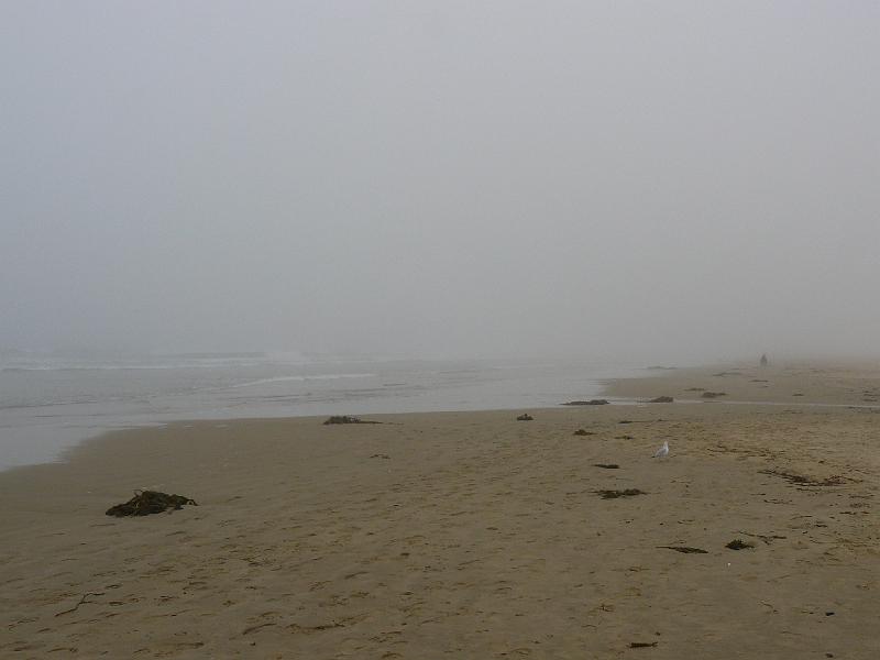 P1030706.JPG - .... arrives, and makes a foggy morning!