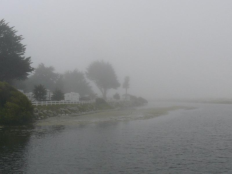 P1030713.JPG - Another foggy morning.