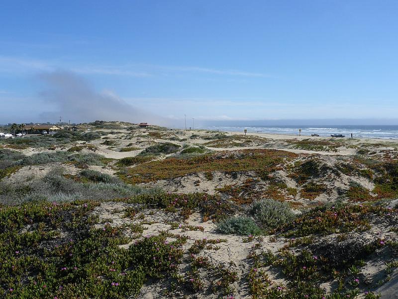 P1030714.JPG - A windy afternoon, blowing fog and sand over the dunes.