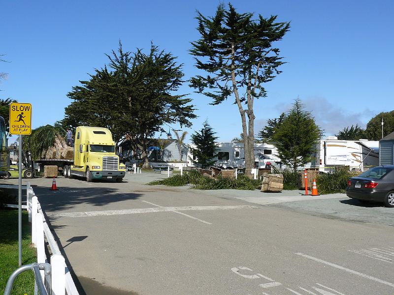 P1030742.JPG - A truck load of trees are being delivered to the park.