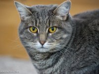 DSC00001 : David von der Mehden