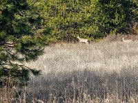 DSC09442 : David von der Mehden