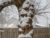 DSC09473 : David von der Mehden