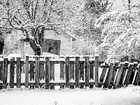 DSC09840 : David von der Mehden