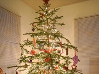 DSC09967 : David von der Mehden