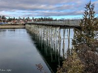 IMG 1710 : David von der Mehden