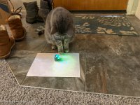 IMG 1777 : David von der Mehden