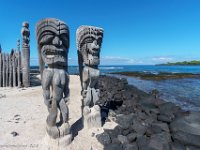 DS601067 : David von der Mehden