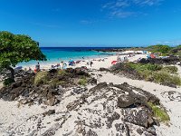 DS601077 : David von der Mehden