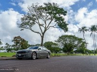 DSC08744 : David von der Mehden