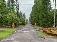 DSC08752 : David von der Mehden