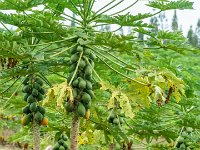 DSC08756 : David von der Mehden