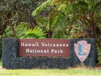 DSC08780 : David von der Mehden