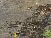 DSC08793 : David von der Mehden