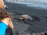 DSC08798 : David von der Mehden