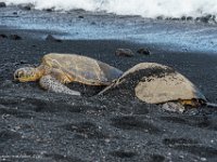 DSC08800 : David von der Mehden