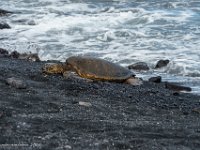 DSC08801 : David von der Mehden