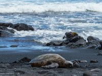 DSC08804 : David von der Mehden