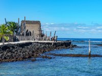 DSC08842 : David von der Mehden